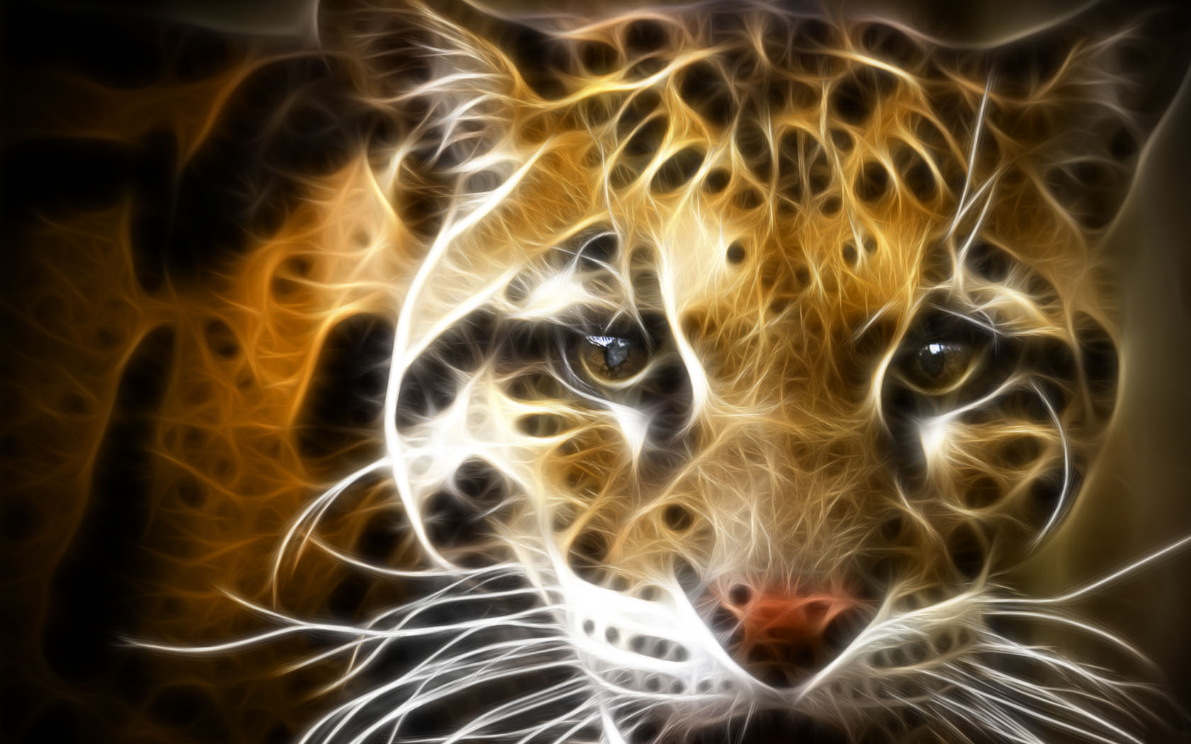 cheetah print desktop wallpaper