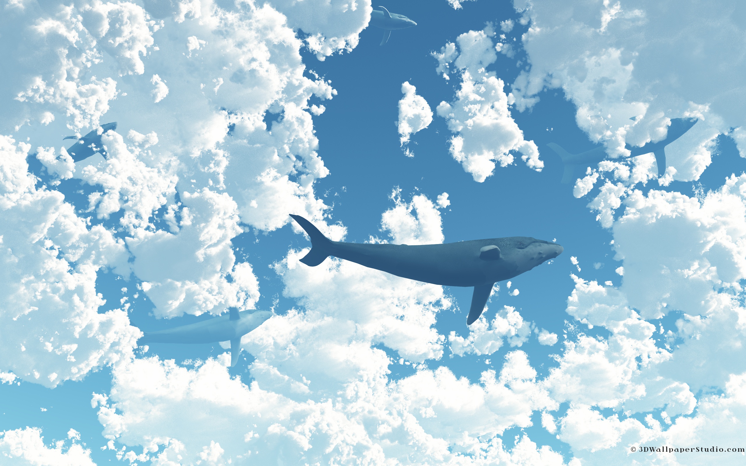Sky Whales Background