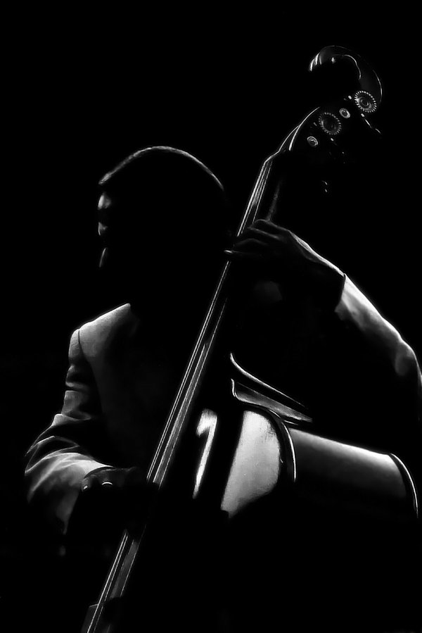 Double Bass Player Ii By Thereisnoband