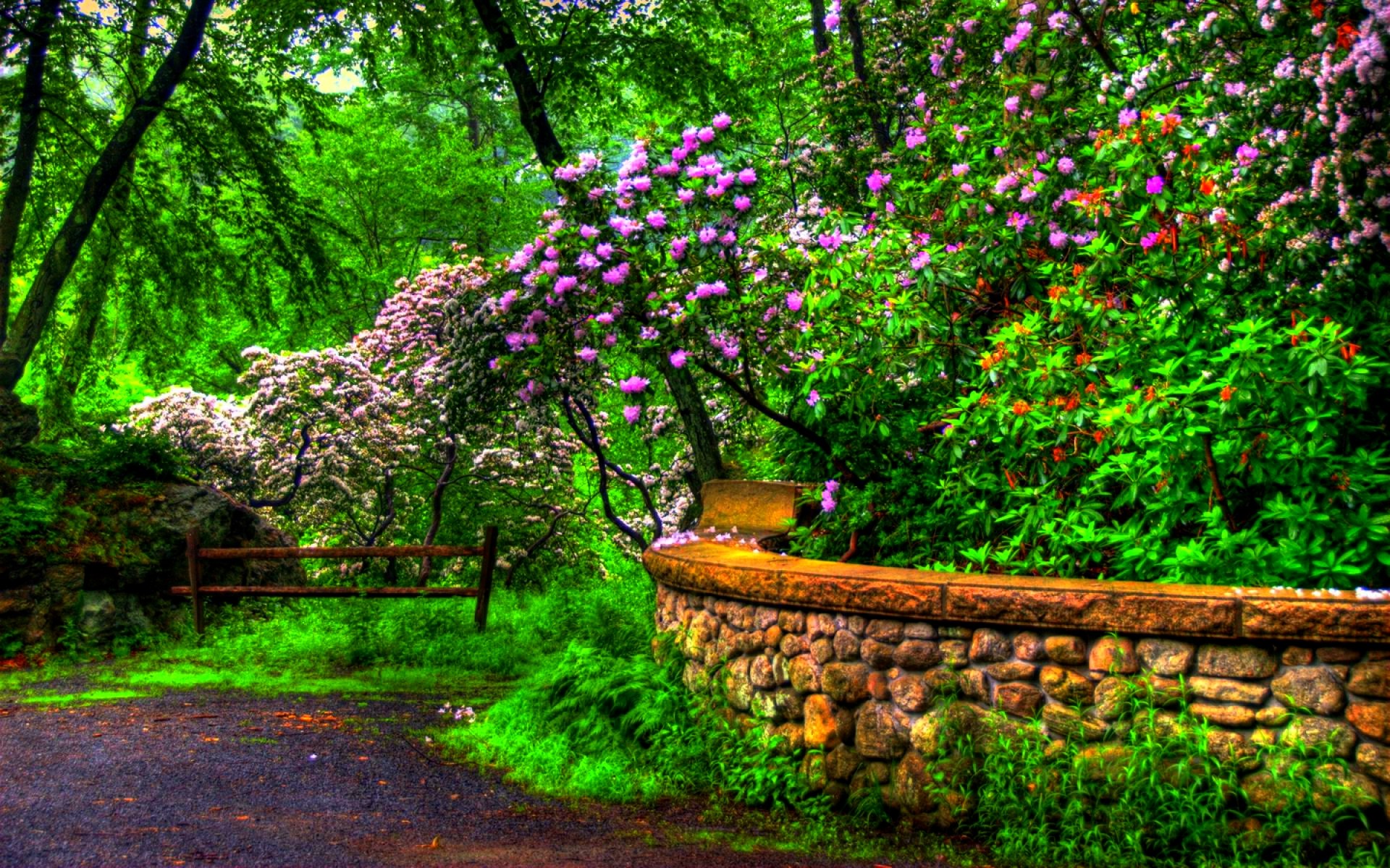 Beautiful Spring Wallpaper