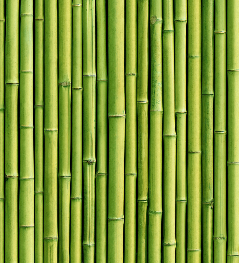Print A Wall Paper Bamboo Sticks Pvc Wallpaper By