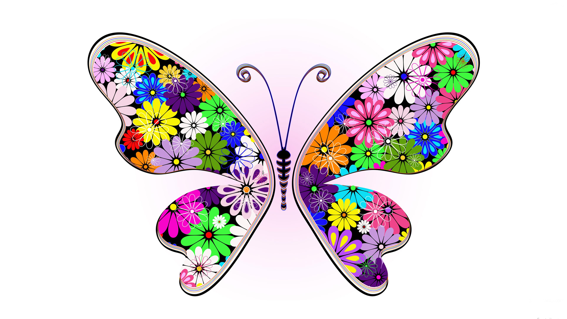 Abstract Colorful Butterfly HD Image Only Wallpaper