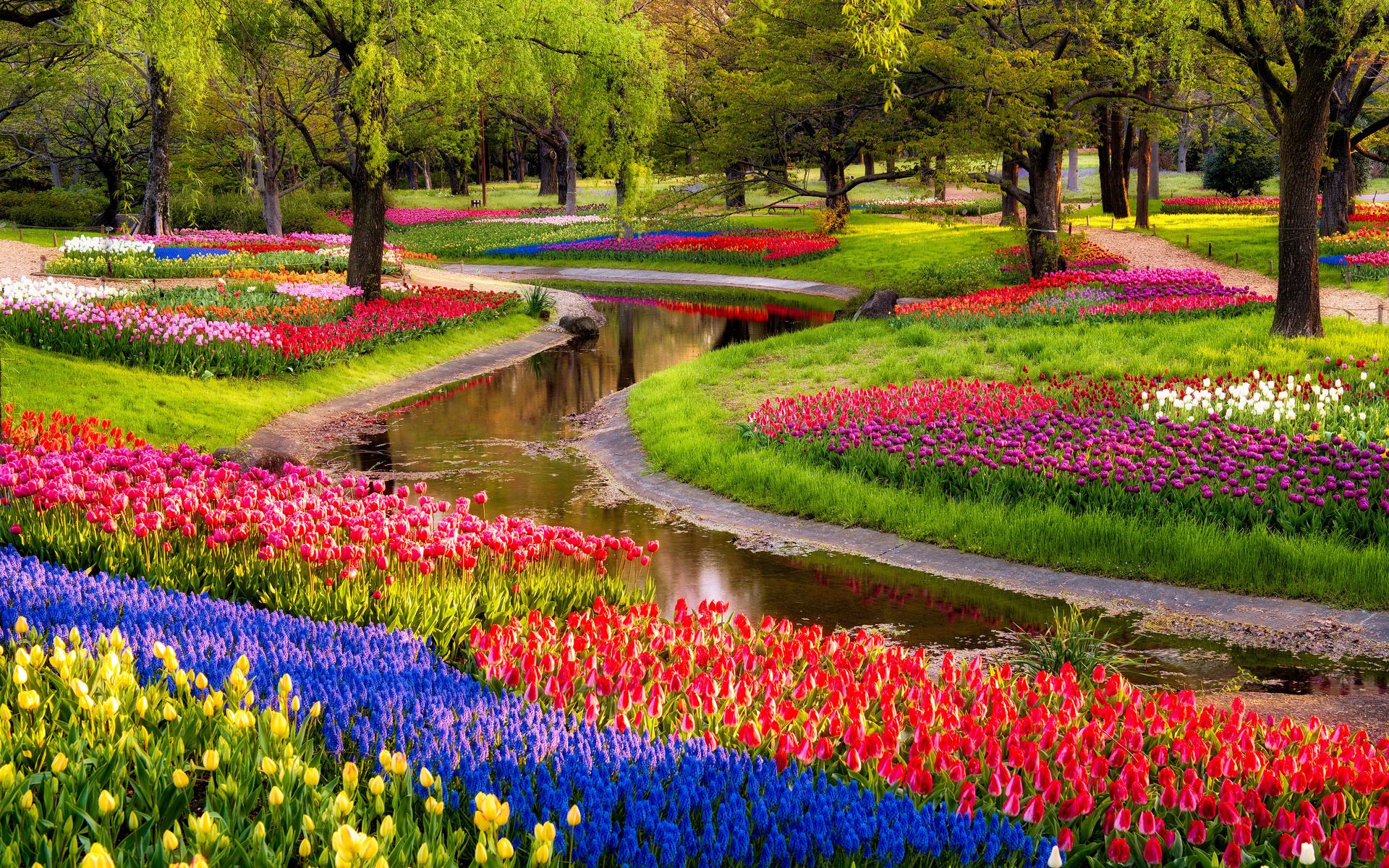 Image For Beautiful Garden Of Flowers Wallpaper