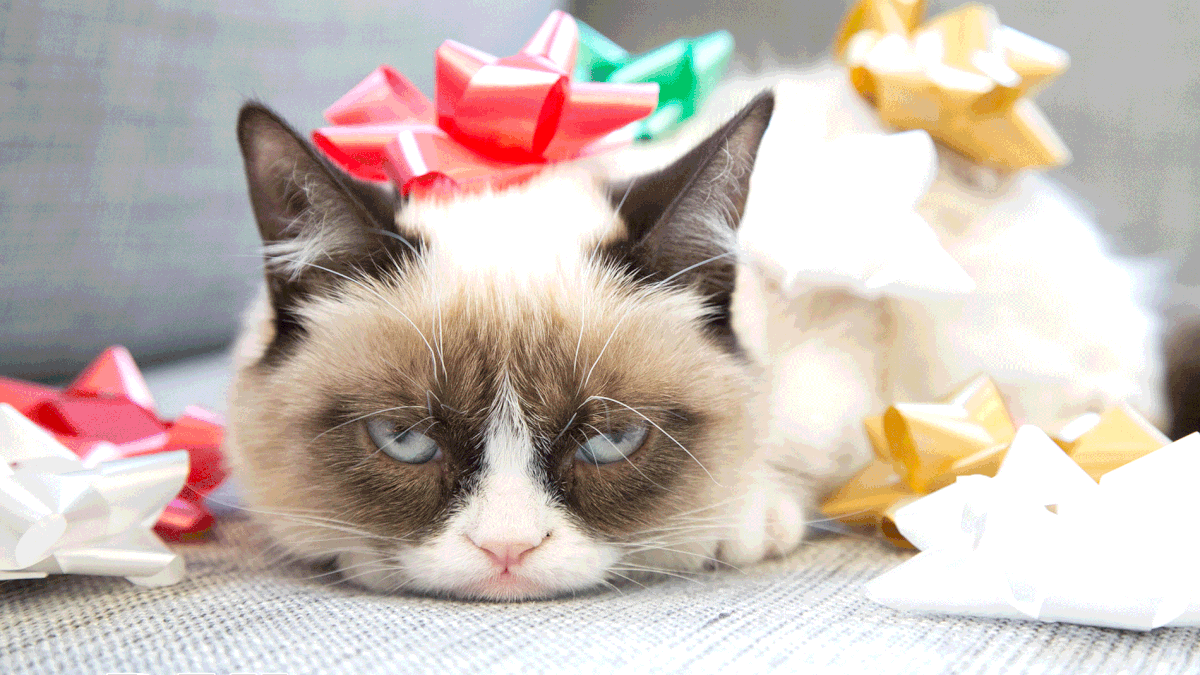  or Grumpy Cat theres nothing wonderful about this time of the year