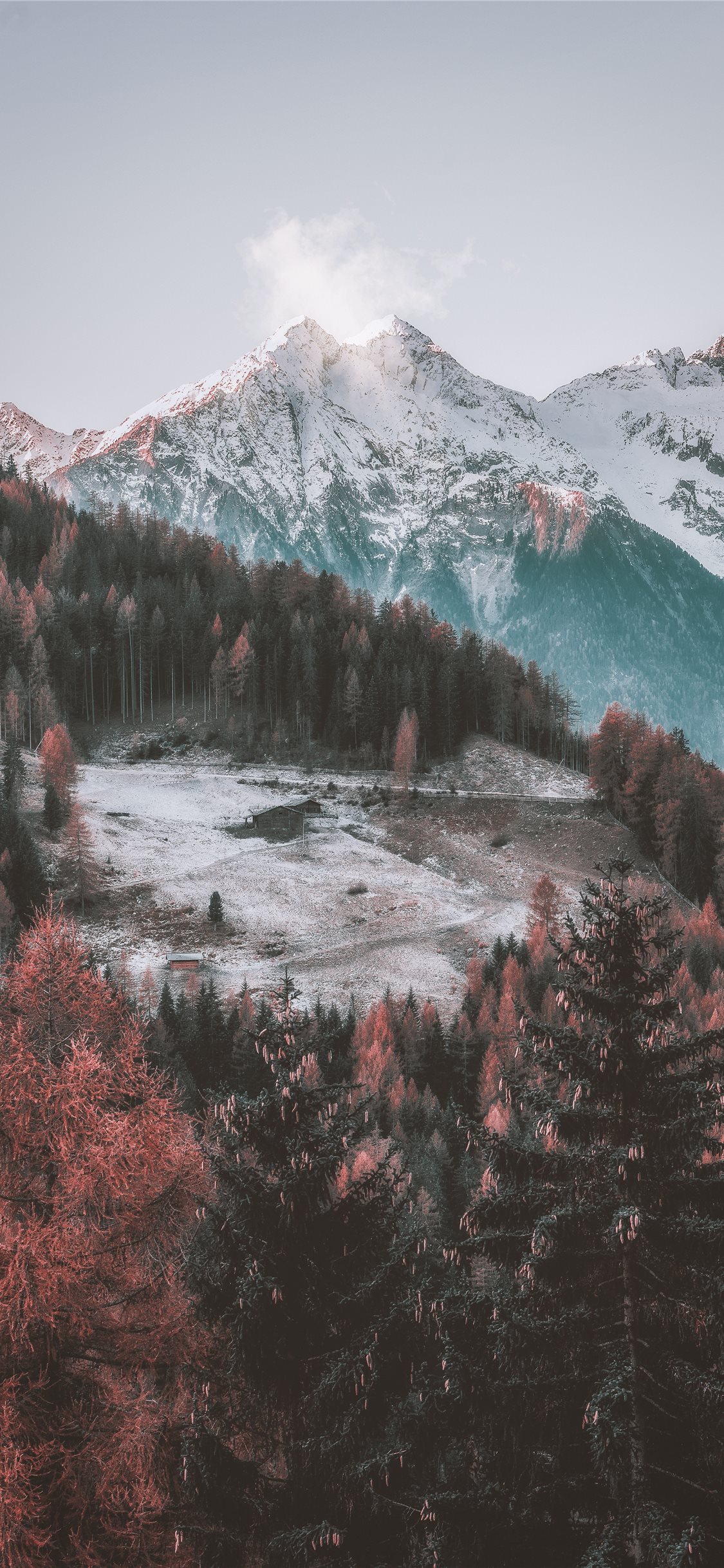 Icy Mountain And Green Trees Scenry iPhone X Wallpaper