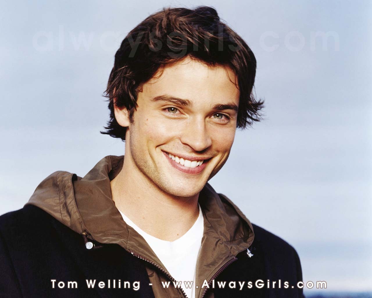 Tom Welling   Hottest Actors Wallpaper 2964415