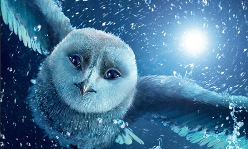 Lovable Collection Of Owl Wallpaper Naldz Graphics