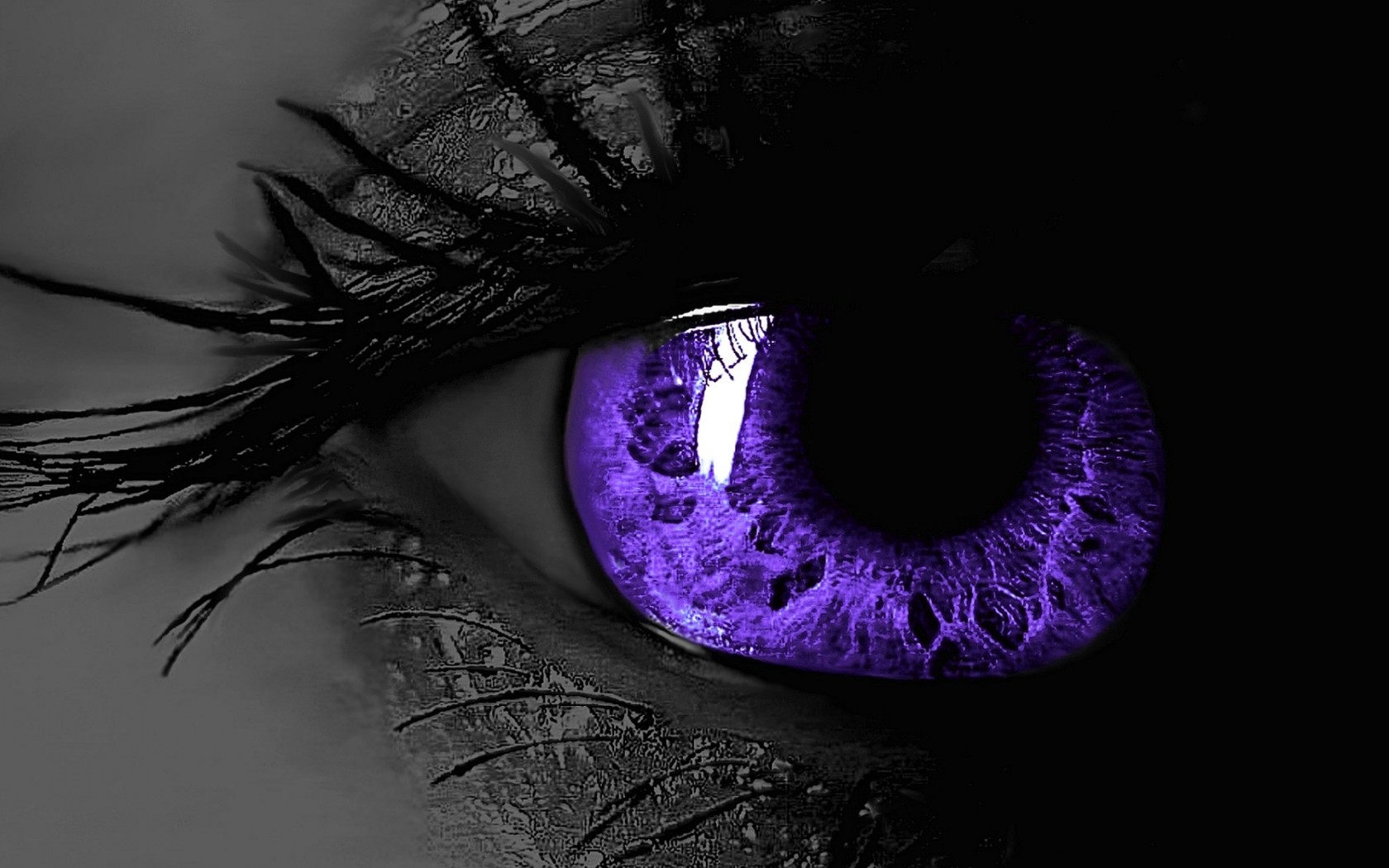 Black and Purple Wallpaper Amazings 2408   HD Wallpapers Site