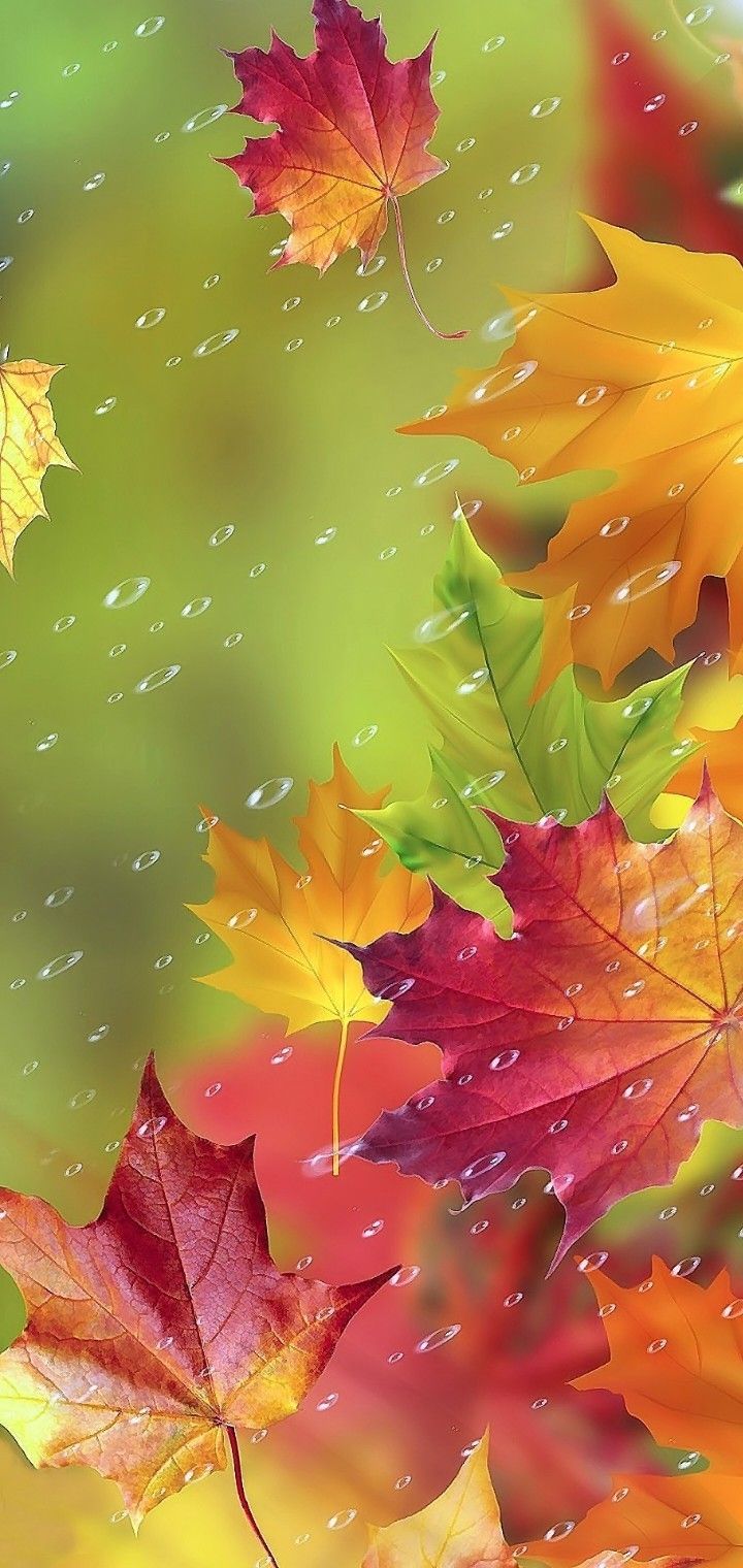 Wallpaper Ideas In