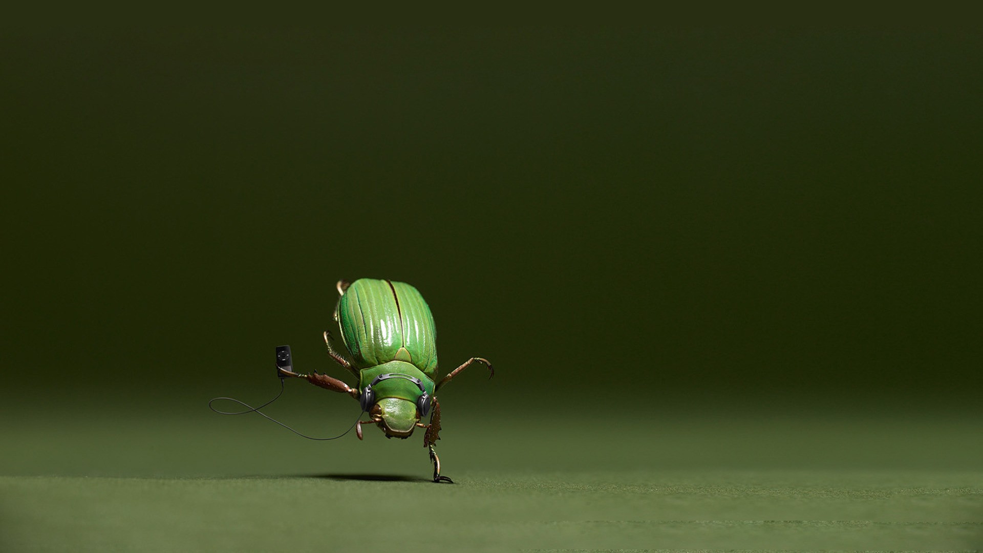  Bug Mobile Wallpaper Download HQ Backgrounds HD wallpapers Gallery