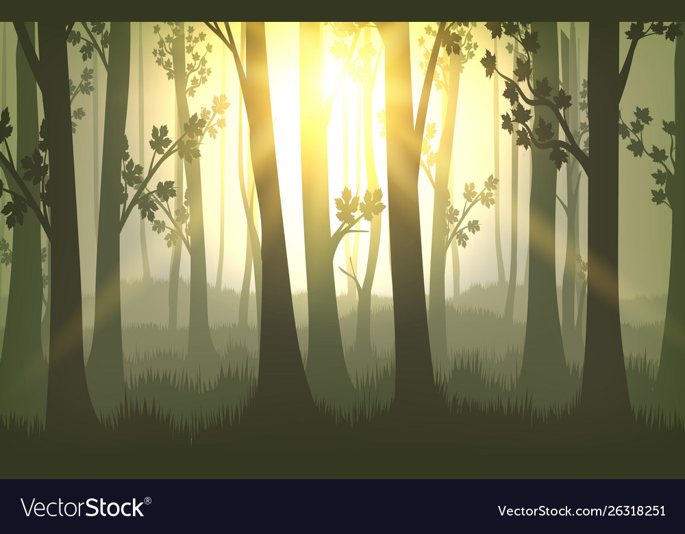 Tree trunks sunset background Royalty Free Vector Image