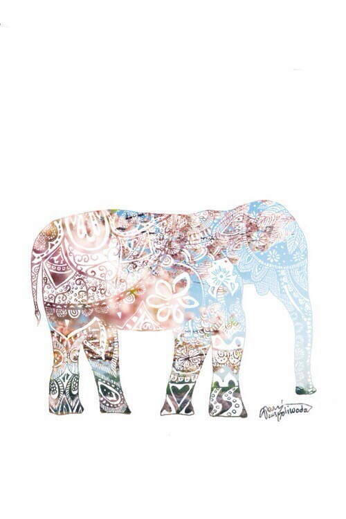 elephant background