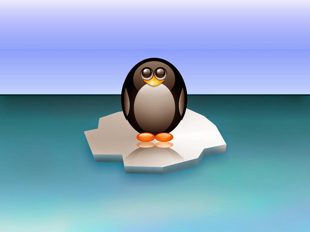 Cute Penguin Background For Your Puter Desktop Jpg