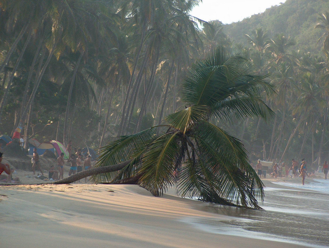 Choroni Beach In Venezuela By Ronen1