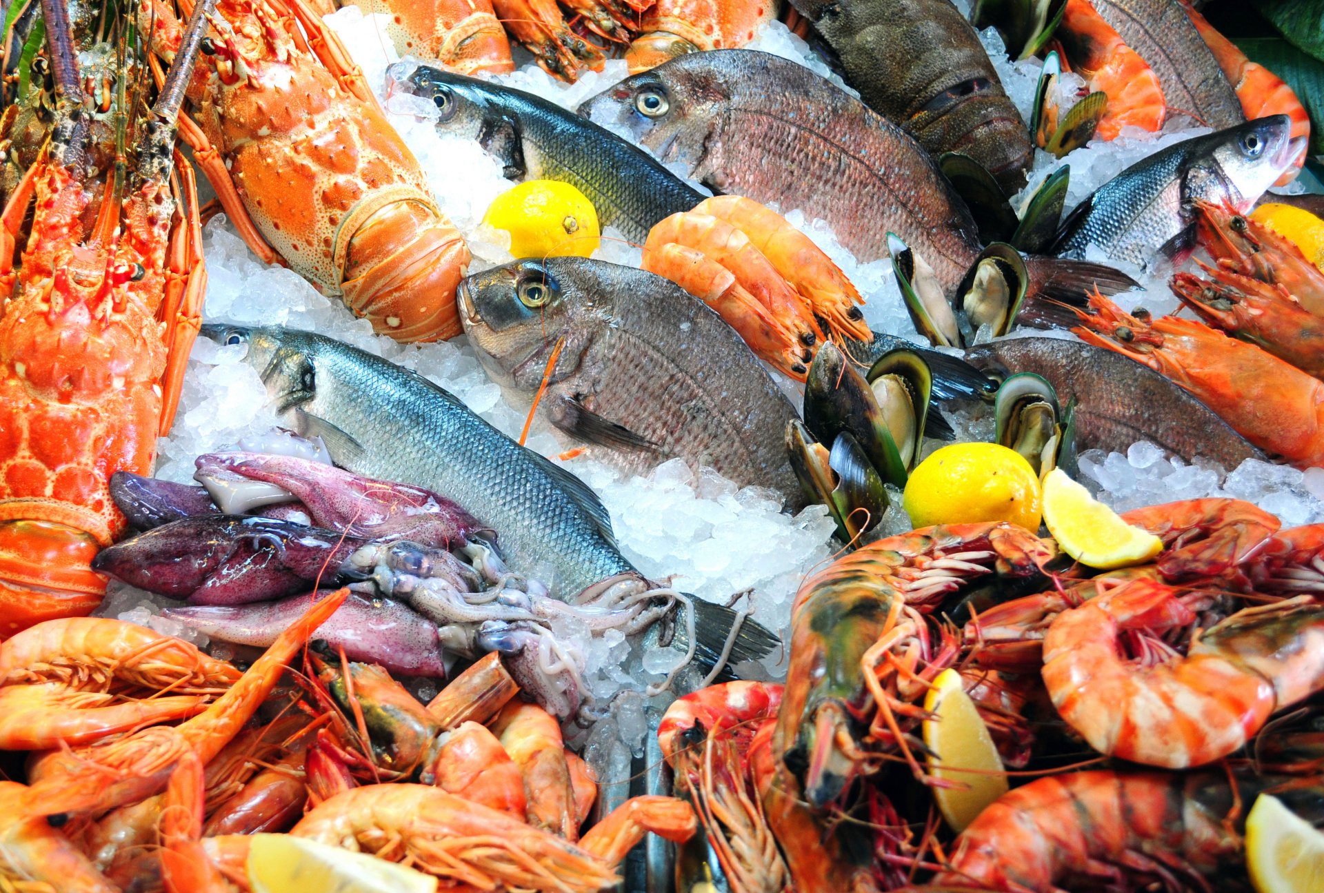 Seafood HD Wallpaper And