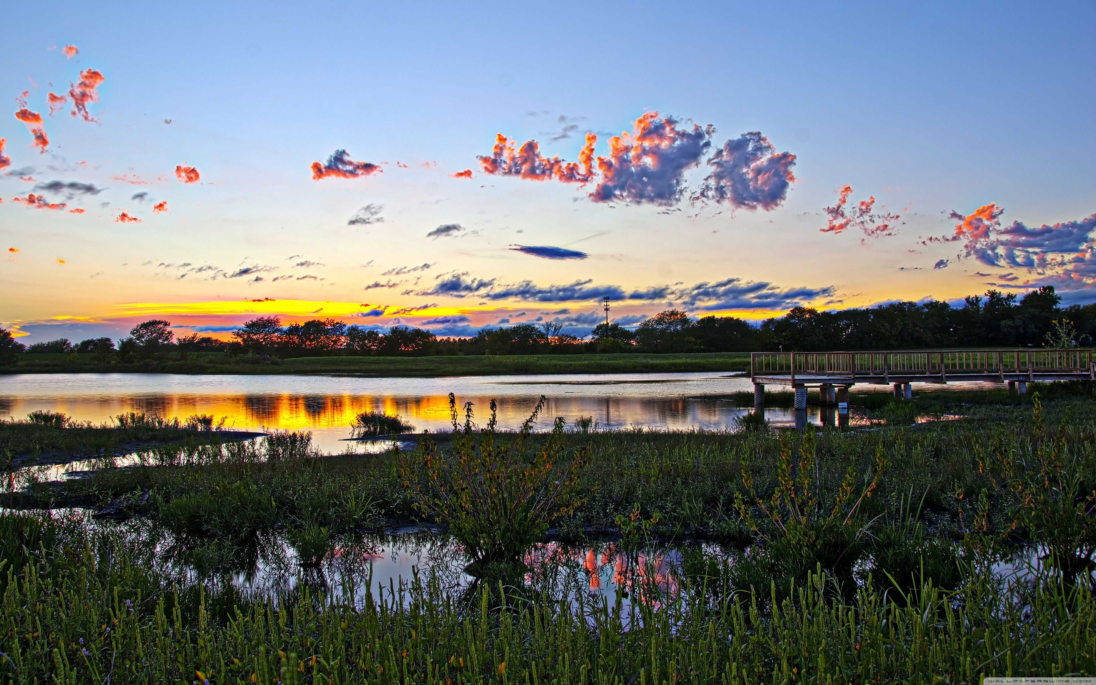 Wetlands Lawrence Kansas 4k HD Desktop Wallpaper For Ultra