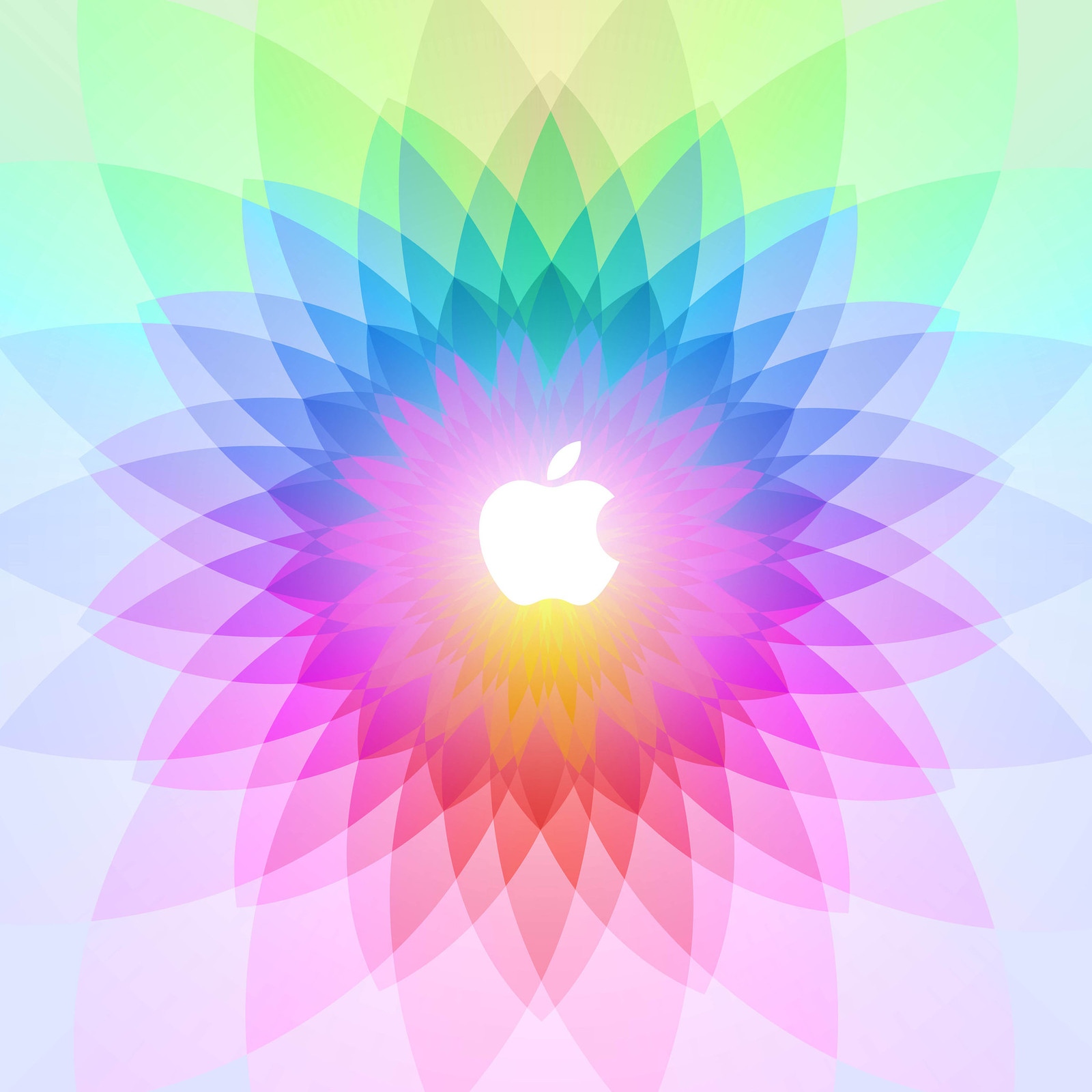 Here Are Your Spring Forward Wallpaper For iPhone iPad And