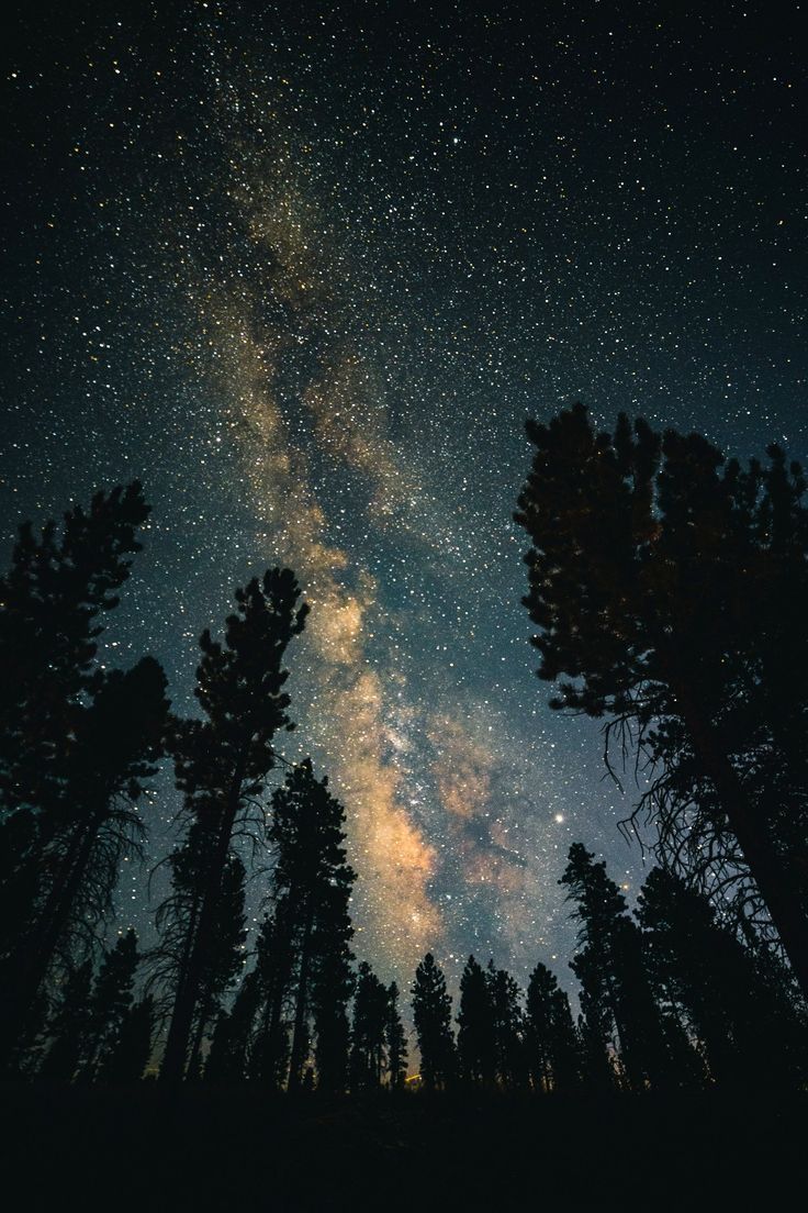 Starry Night Sky Wallpaper