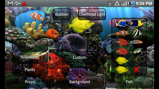 3d Rendered Live Wallpaper Background Of A Tropical Fish Tank With