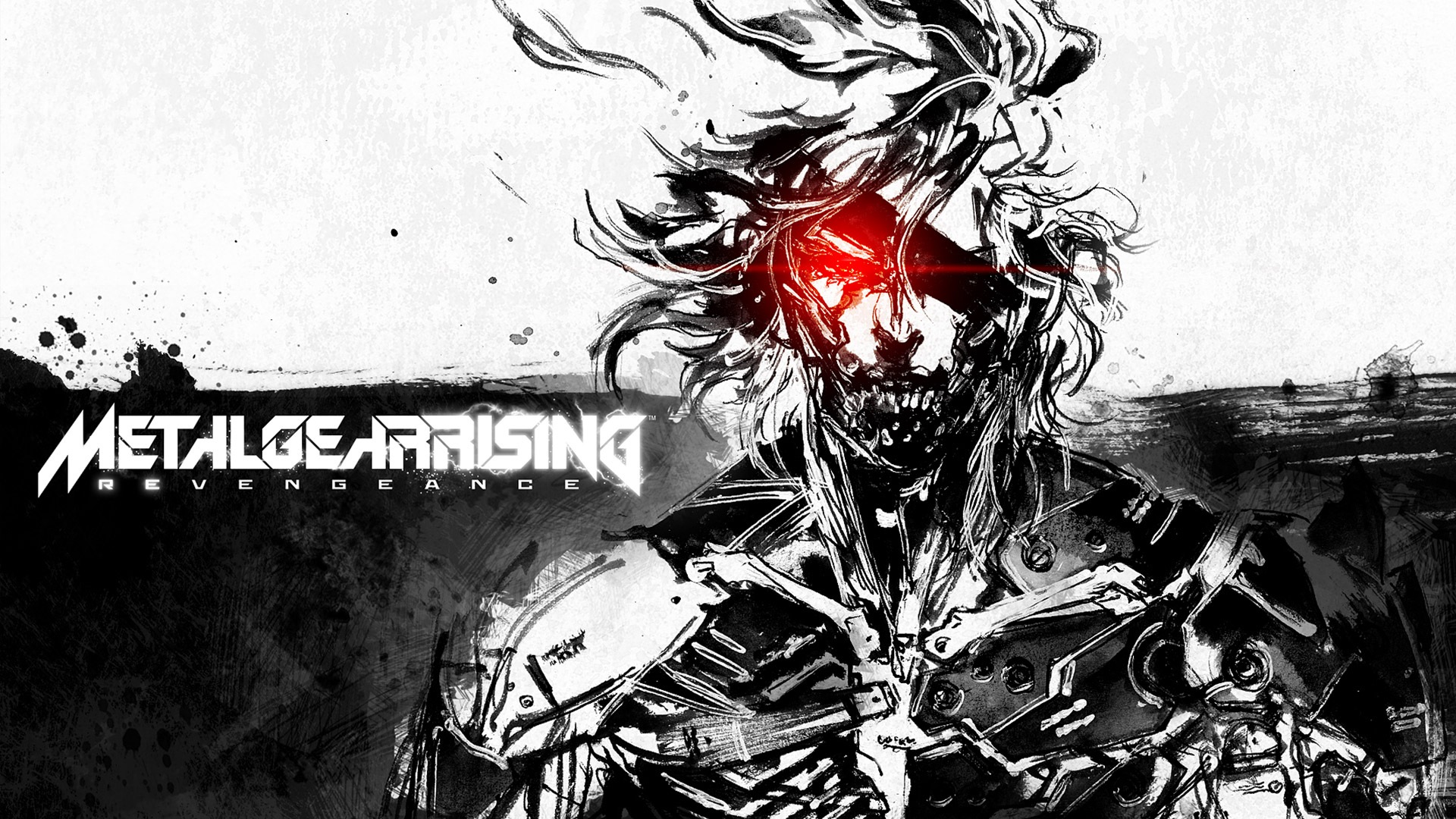 Metal Gear Solid Video Game Rising Revengeance