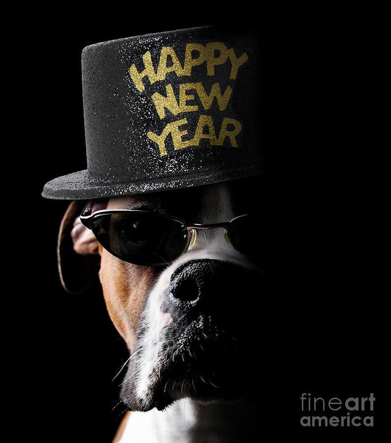 Happy New Year Dog Photograph By Jt Photodesign Fine Art America