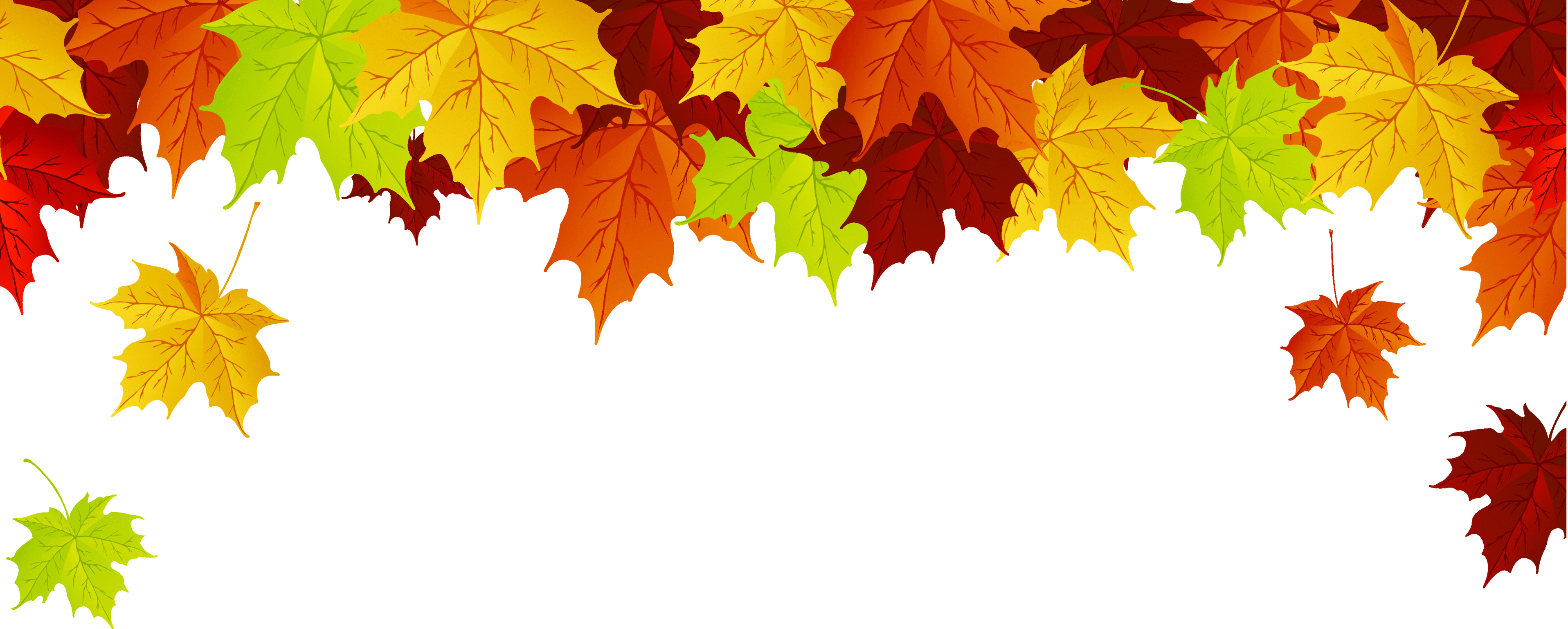 Fall Leaves Backgrounds Flowers Gallery