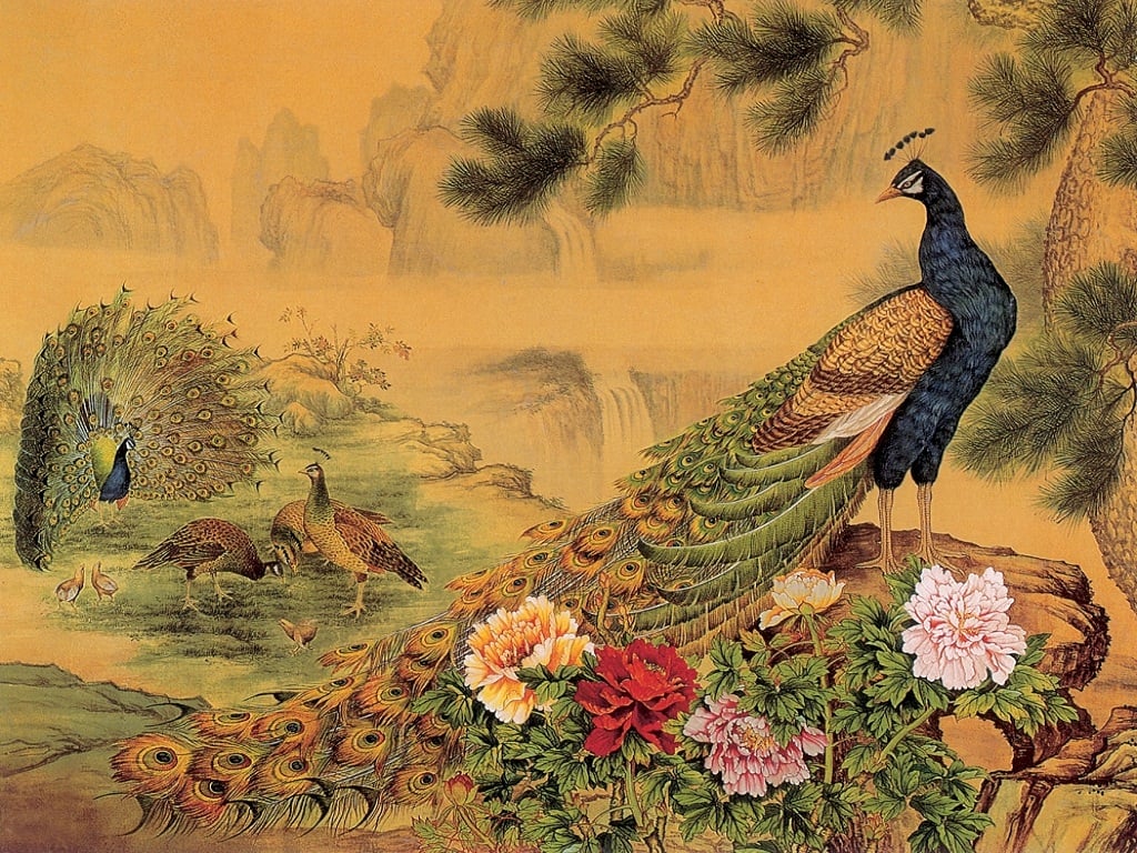 peacock birds nice painting poster for walls hd wallpapers and image 1024x768