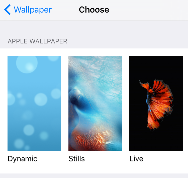 Futuristic How To Activate Live Wallpaper On Iphone 6S with Futuristic Setup