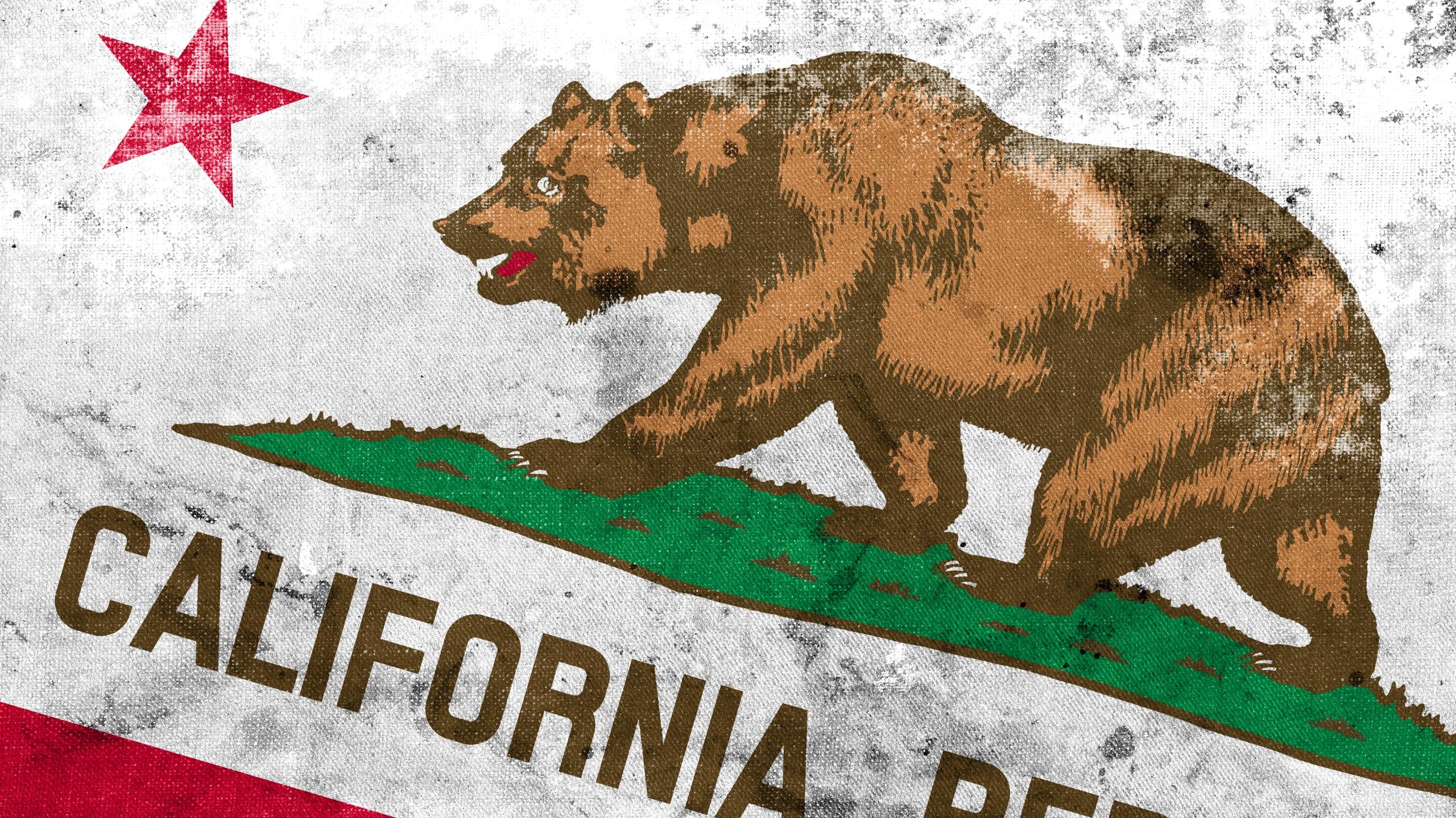 A revolt a now extinct bear and the Lone Star inspired
