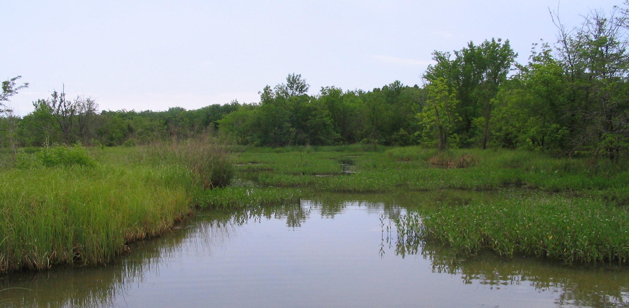 Oklahoma Conservation Commission Wq Wetlands