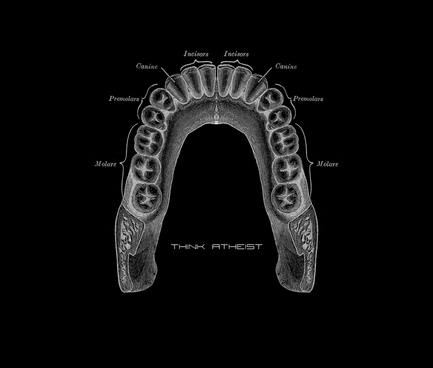 Dental Wallpapers - Top Free Dental Backgrounds - WallpaperAccess