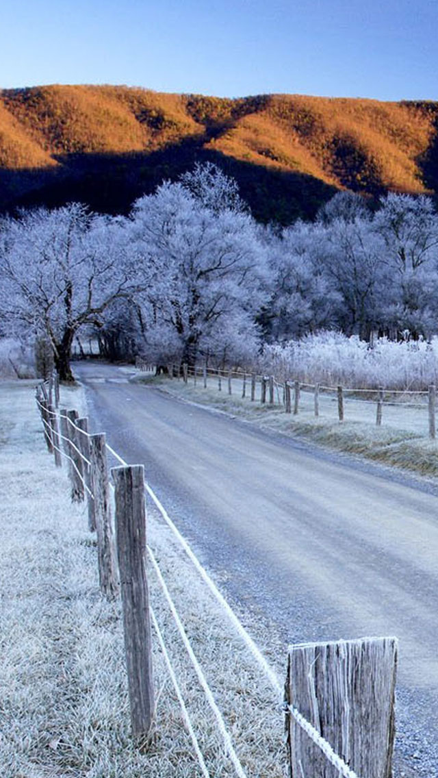Snow Wallpaper iPhone Trees And Road 5s