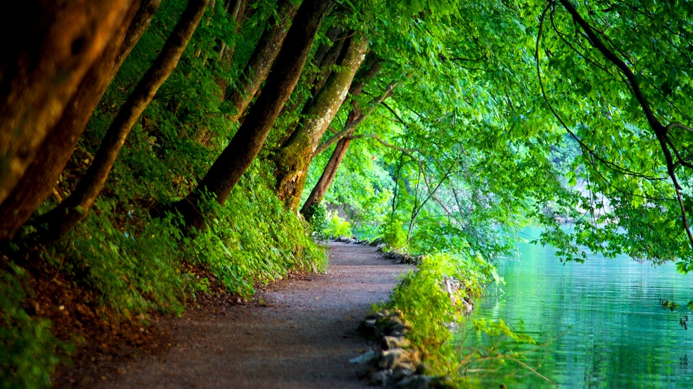 Nature Green Wallpaper Background Pc Cool