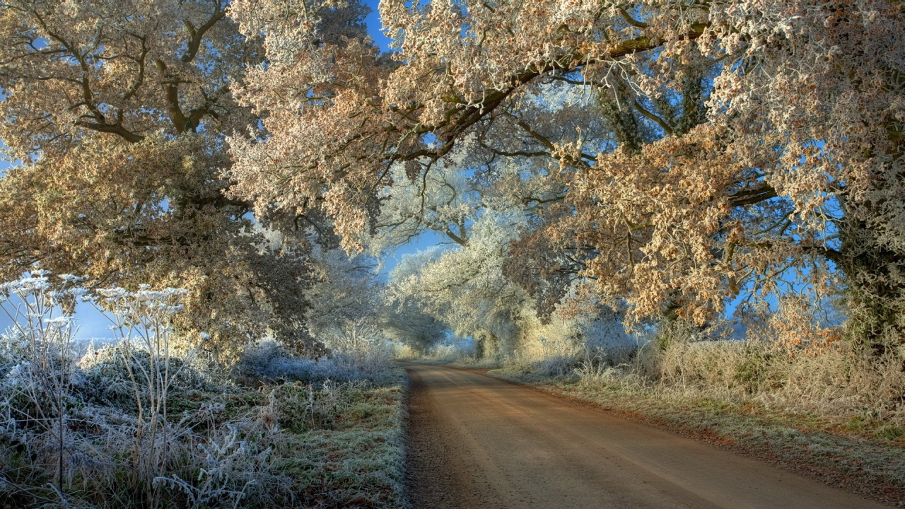 Roads Scenic Frost Fresh New High Definition Wallpaper