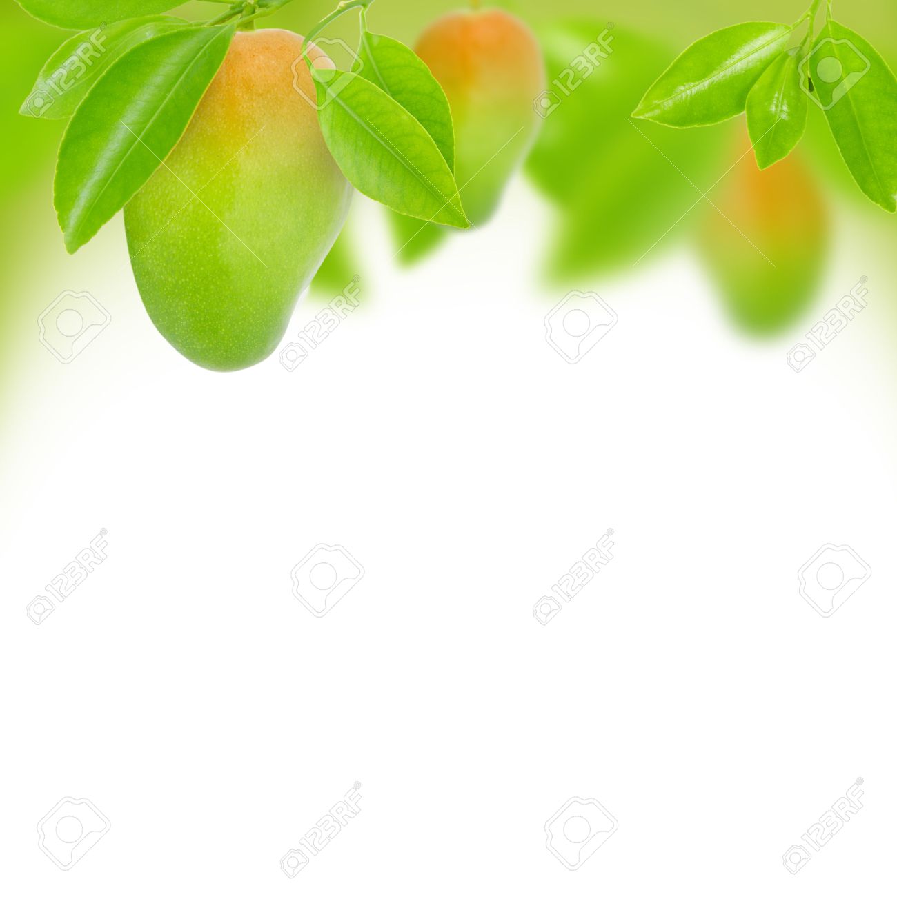 Abstract Background Made Of Mango And Leaves Stock Photo Picture