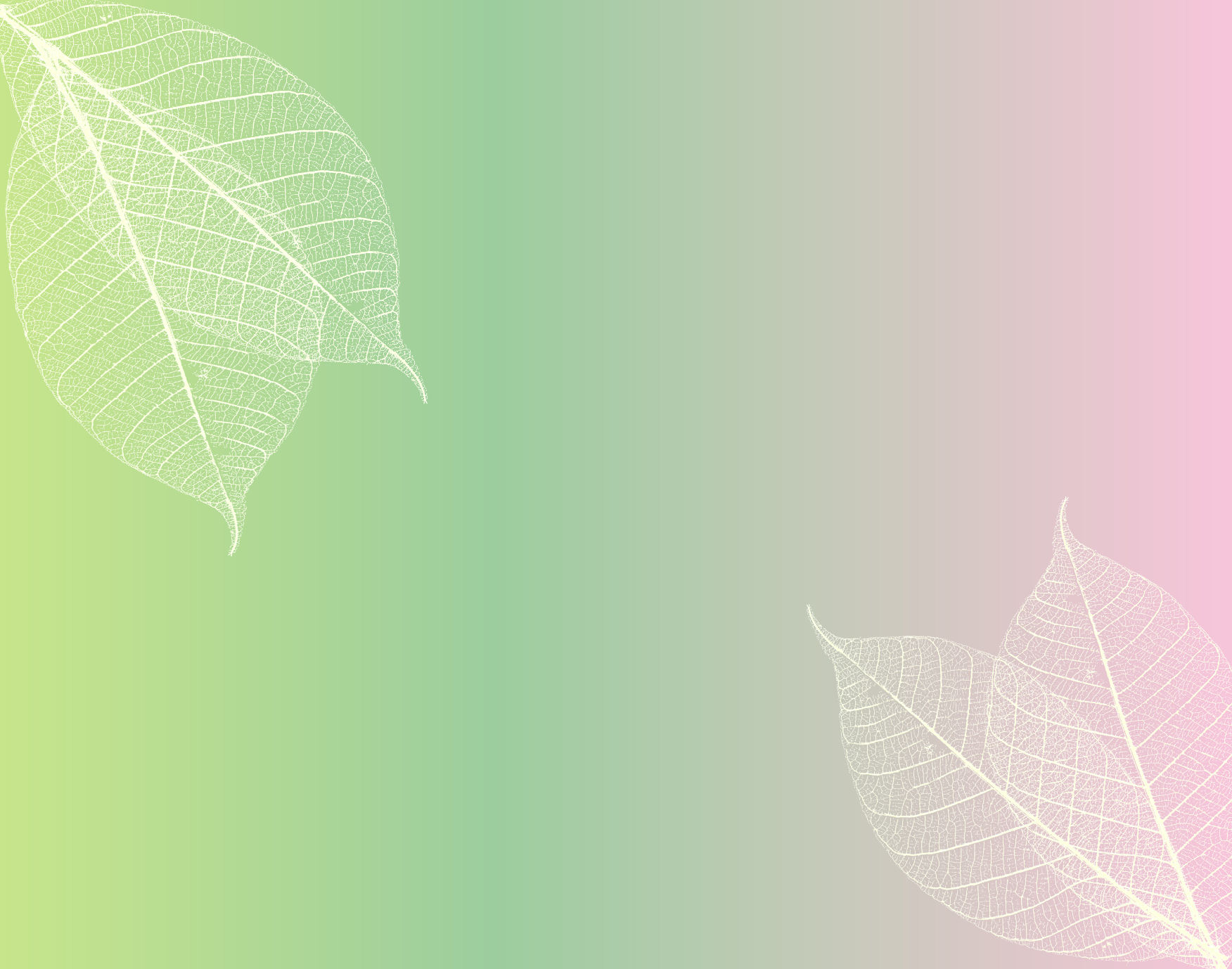Pink and Green Wallpaper Vector Images over 52000