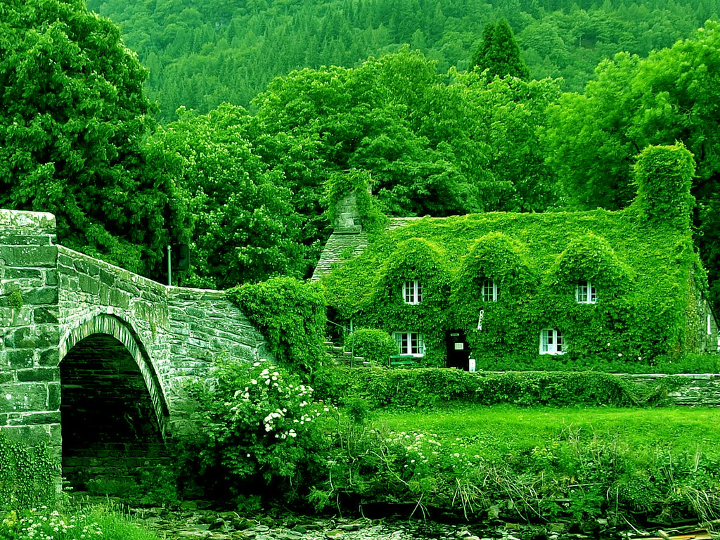 All Most Beautiful Houses Ever Amazing Home