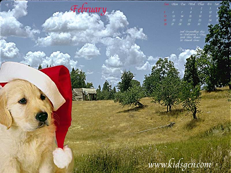 Free download best way to remove wallpaper Easy Way to Remove Wallpaper