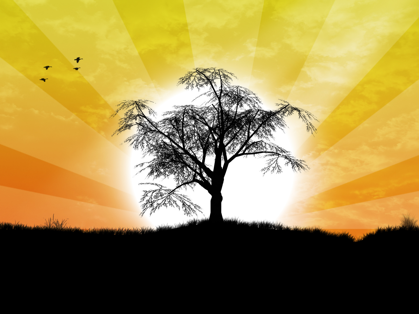 Background Full Lonely Tree Brianna Graves Laptop