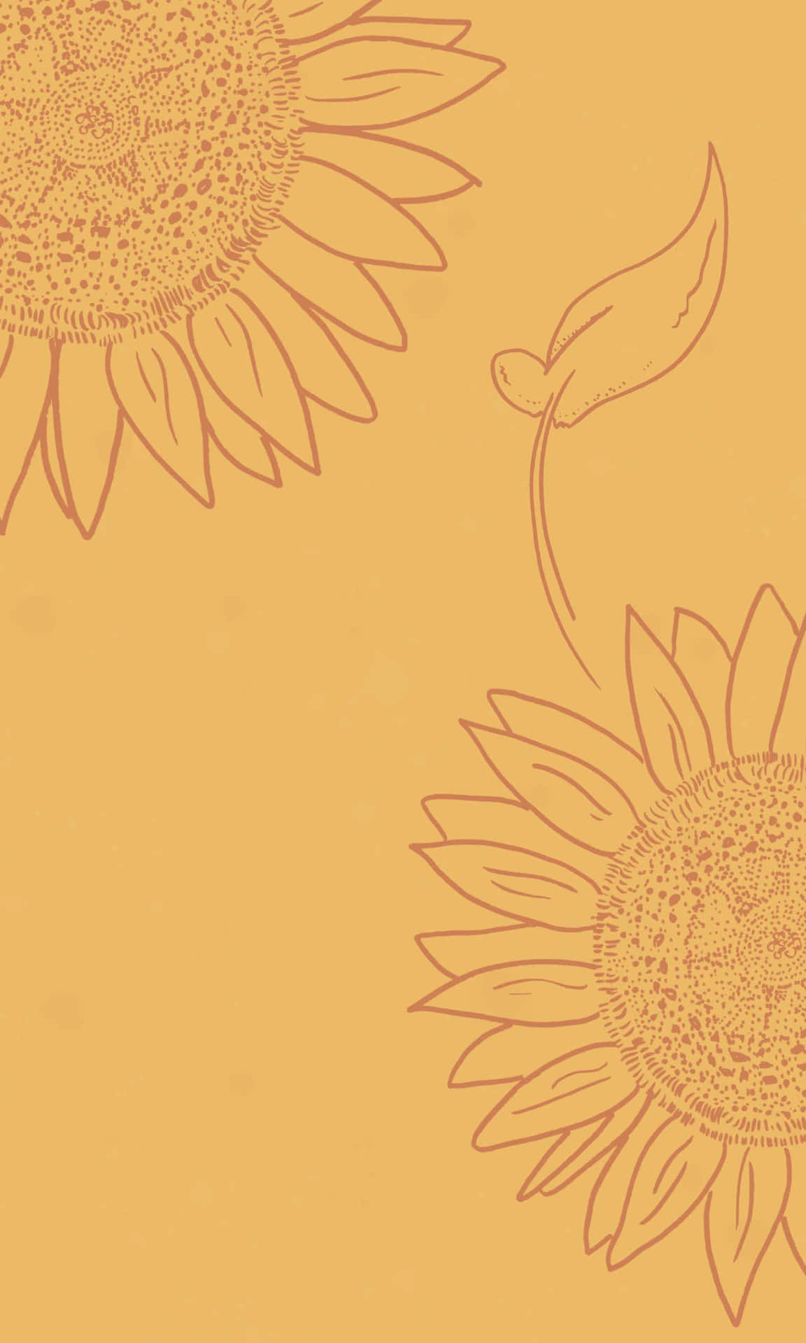 Sunflower Aesthetic iPhone Wallpaper