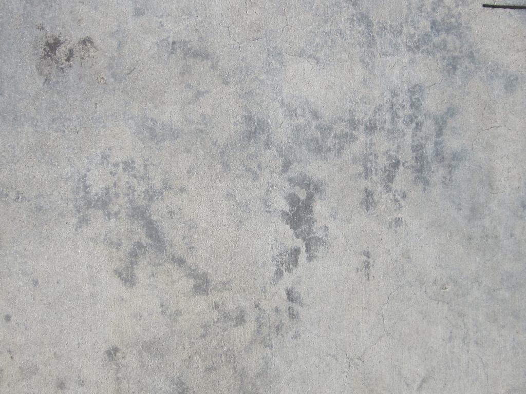 Subtle Gray Cement Wall Photo Sharing