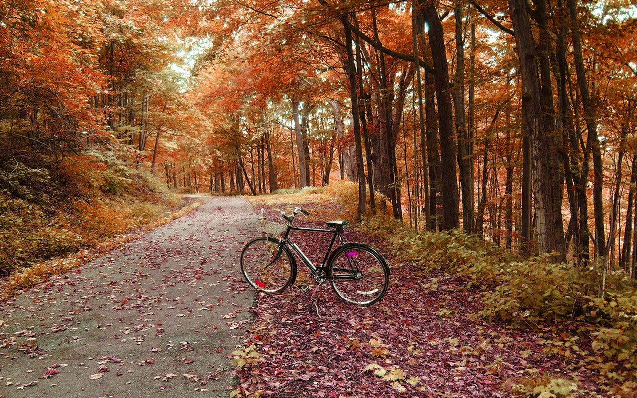  nostalgic memory bicycles aesthetic photography wallpaper 6 Wallpapers