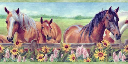 Horse Border Horses Wallpaper