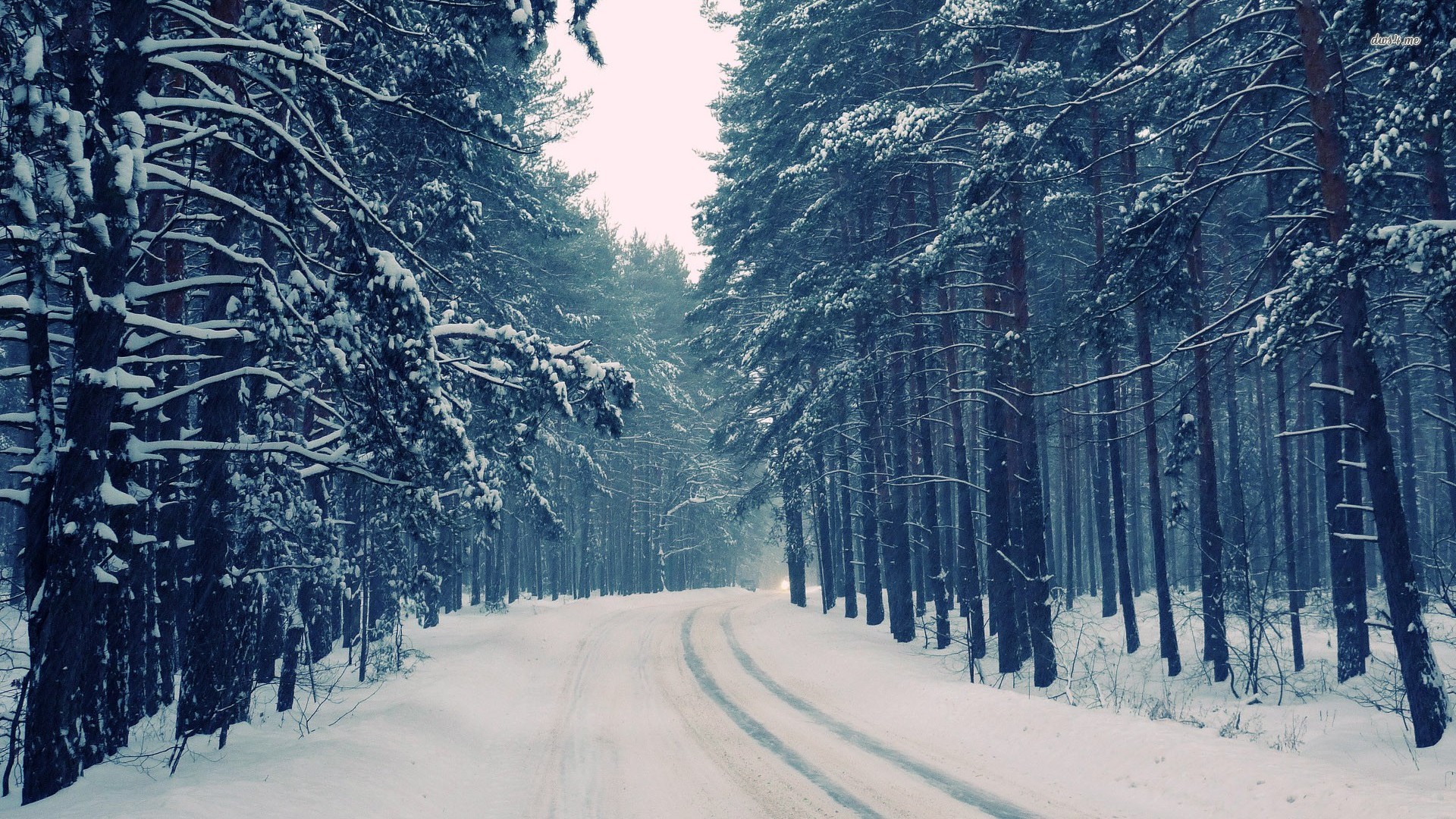 Snowy Road Through The Forest Wallpaper