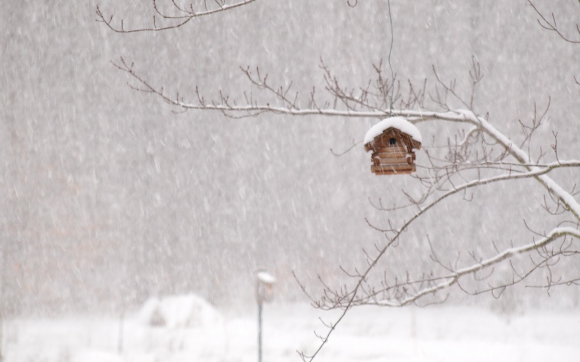 Winter Storm House Snow Birds Wallpaper Background