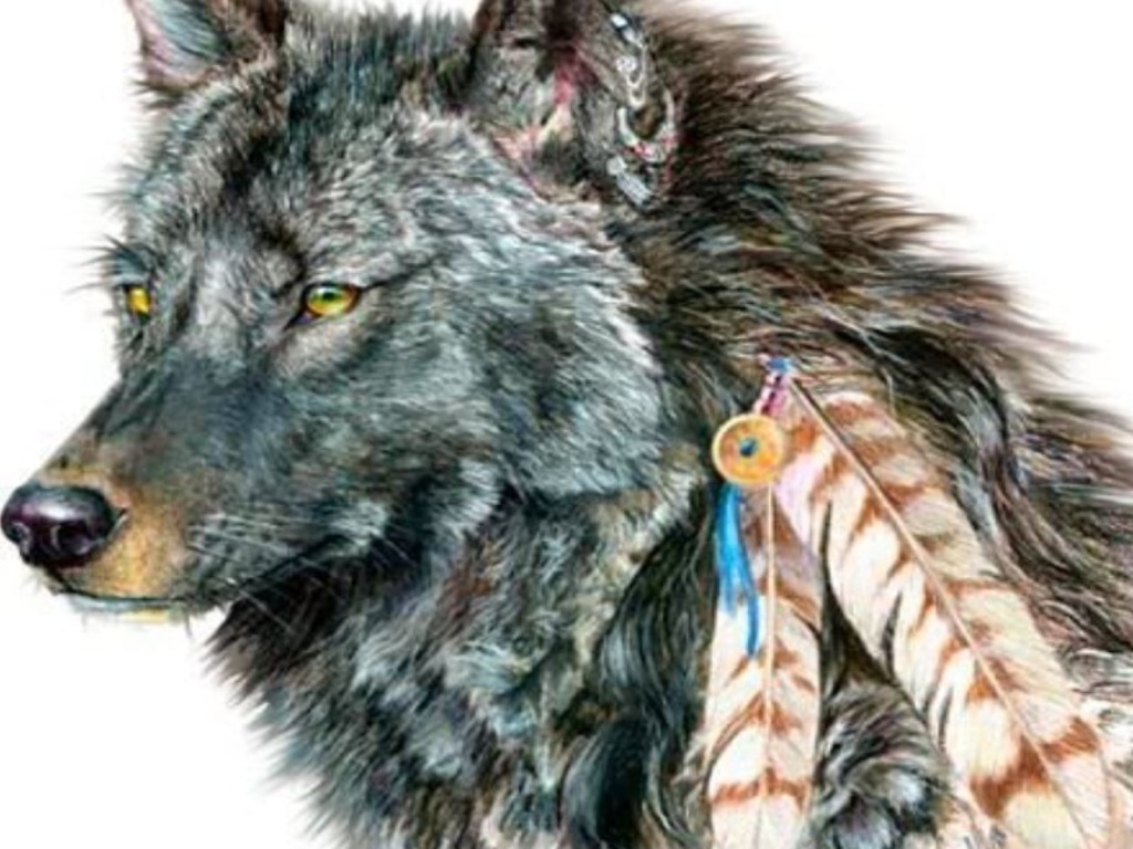 Native American Wolf Spirit Wallpaper