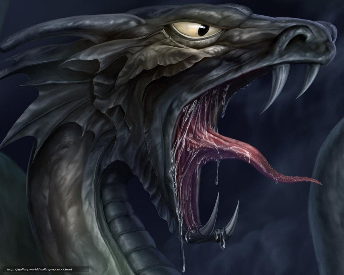 Wallpaper Dragon Maw Language Desktop In The