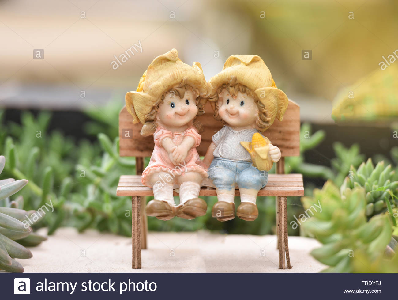 Little Couple Doll Cute Sitting On Wooden Bench Decorate The