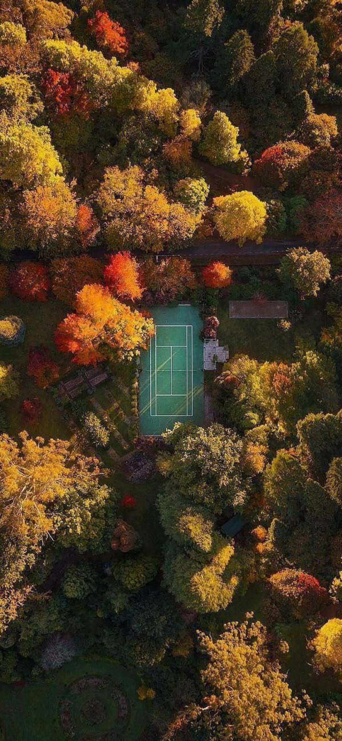 iPhone Xs Tennis Background Wallpaper