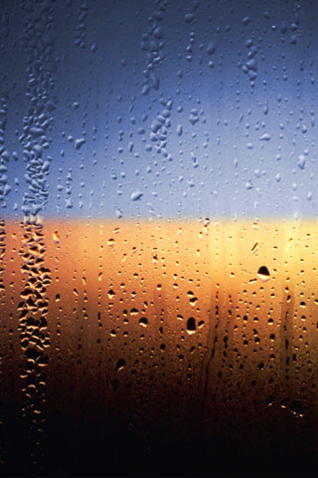 Rain iPhone Wallpaper HD